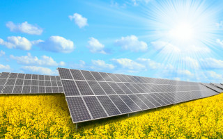 Flower field solar panel sunlight - solar free wallpaper