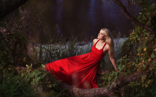 Woman red dress forest flowers - a storybook illustration free wallpaper