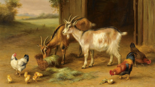 Barnyard goat chickens hay basket - thomas kindkade free wallpaper