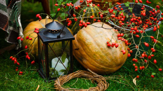 Lantern pumpkin grass berries basket - fall vibrancy free wallpaper for desktop