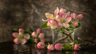 Pink flowers vase still life 2 - a wooden table top free wallpaper