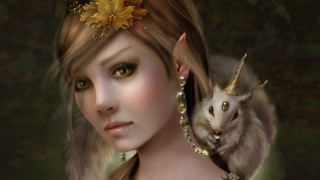 Woman cat elf goldflower fantasy - fantasy artwork free wallpaper