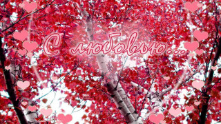 Tree love hearts autumn leaves - the middle of the picture free wallpaper for desktop