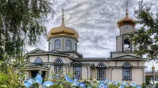 Tower clock building blue flower - free architecture wallpaper