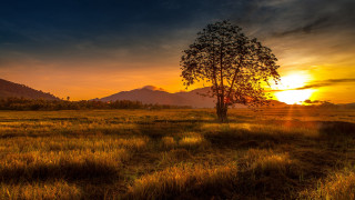 Sunset mountain tree field clouds - the background and mountains free wallpaper