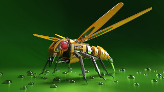 Yellow green insect silver balls - its leg free wallpaper