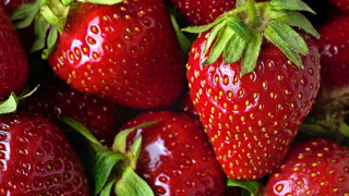 Strawberries greenleaves redbackground macrofood precisionism - strawberry free wallpaper