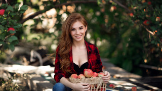 Elina karimova christmas basket apples - a bench holding free wallpaper