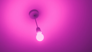 Pink lightbulb darkroom synchromism purple - a light bulb free wallpaper for desktop