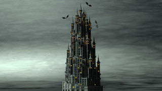 Gothic lit building bird flying - side and a bird free wallpaper