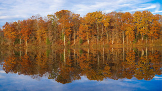 Autumn lake reflections mountains forest - cloud above free wallpaper