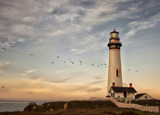 Lighthouse birds sunset cliff matte - adobe lightroom free wallpaper
