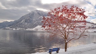Snowy lake mountain bench tree - andy goldsworthy free wallpaper