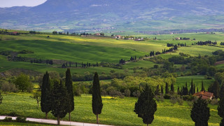 Scenic green valley mountain forest - scenic free wallpaper