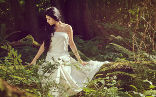 Woman white dress forest fairytale - tree and ferns free wallpaper