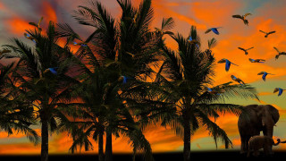 Sunset birds elephant matte painting - a painting of a sunset free wallpaper