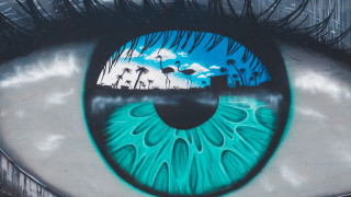 Blue eye palm trees graffiti - a blue eye free wallpaper