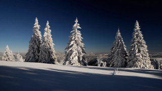 Snowy landscape trees blue sky 7 - postminimalism free wallpaper