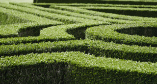 Large green hedge maze bird - complexity free wallpaper