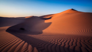 Desert sanddunes singleTree blueSky realistic - a few sand free wallpaper