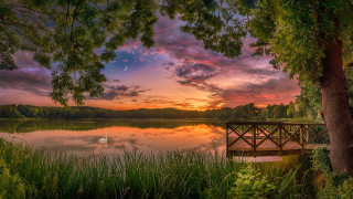 Bench pier lake sunset swan - a swan free wallpaper