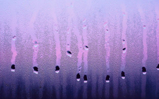 Water drops purple background city - black dot free wallpaper