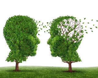 Tree human head leaves sides - evariste vital luminai free wallpaper