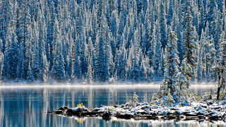 Snowy forest lake bob ross - a lake and trees free wallpaper