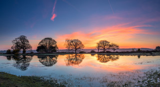 Sunset trees water reflections city - tree and a body of water free wallpaper