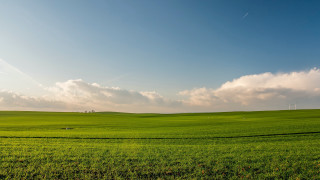 Green field clouds cows matte - a few cow free wallpaper