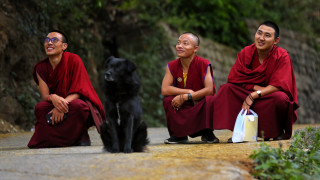 Three monks black dog kimono - fang congyi free wallpaper