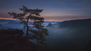 Mountain sunset tree lake clouds - a view of the mountains free wallpaper for desktop