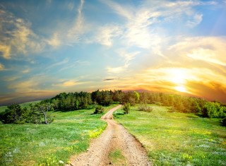 Dirt road sunset forest field - a lush green field under a cloudy sky free wallpaper