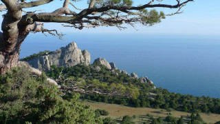 Tree hill ocean mountains blue - the ocean and mountains free wallpaper