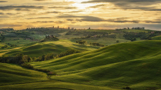 Green field trees hills sunset - the horizon free wallpaper for desktop