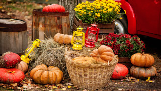 Harvest fall vibrancy pumpkins gourds - a red truck free wallpaper for desktop