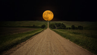 Dirt road yellow moon field - full moon free wallpaper for desktop