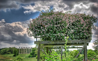 Wooden structure bush field cloudy - a wooden structure free wallpaper for desktop