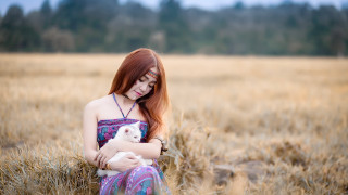 Woman cat field wheat trees - a woman holding free wallpaper for desktop