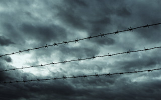 Barbed wire fence bird cloudy - wire fence free wallpaper