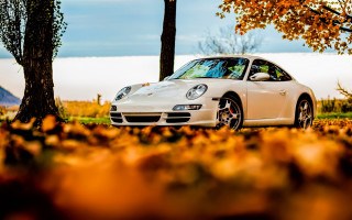 White car autumn leaves lake - autumn free wallpaper for desktop