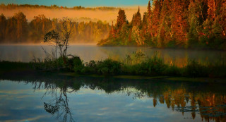 Lake fog autumn leaves forest - a painting of a lake free wallpaper