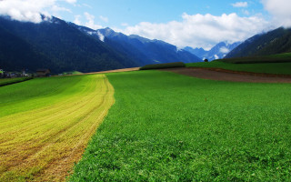 Green field yellow line mountains - a mountain range in the background free wallpaper