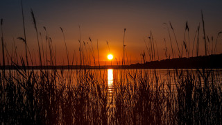Sunset lake tallgrass island trees - a small island in the distance free wallpaper for desktop