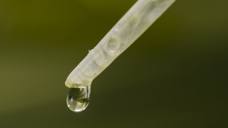 Water drop plastic tube green - plastic free wallpaper for desktop