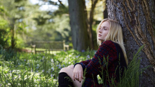Woman sitting forest tree fence - the grass next free wallpaper