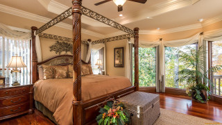 Canopy bedroom large window trees - a bedroom free wallpaper for desktop