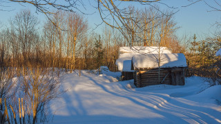 Snowy cabin forest bare trees - bob thompson free wallpaper