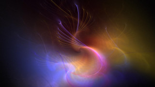 Colorful abstract bird prey black 2 - abstract art free wallpaper