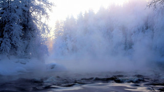 River mist snowy trees sun - mist free wallpaper for desktop